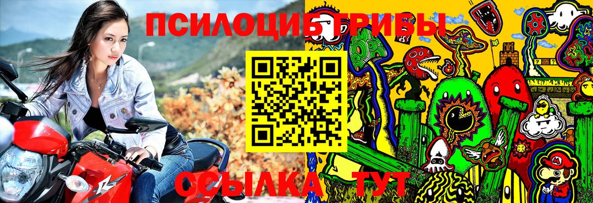 Галлюциногенные грибы Magic Shrooms  Вход с VPN  Кохма 