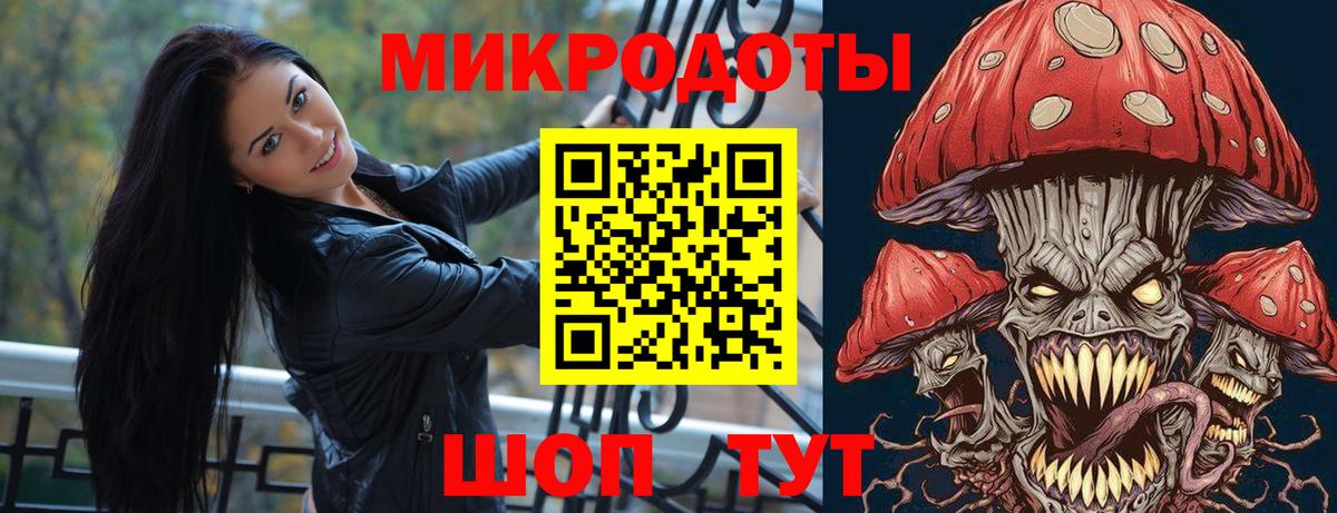 Псилоцибиновые грибы Cubensis Кохма