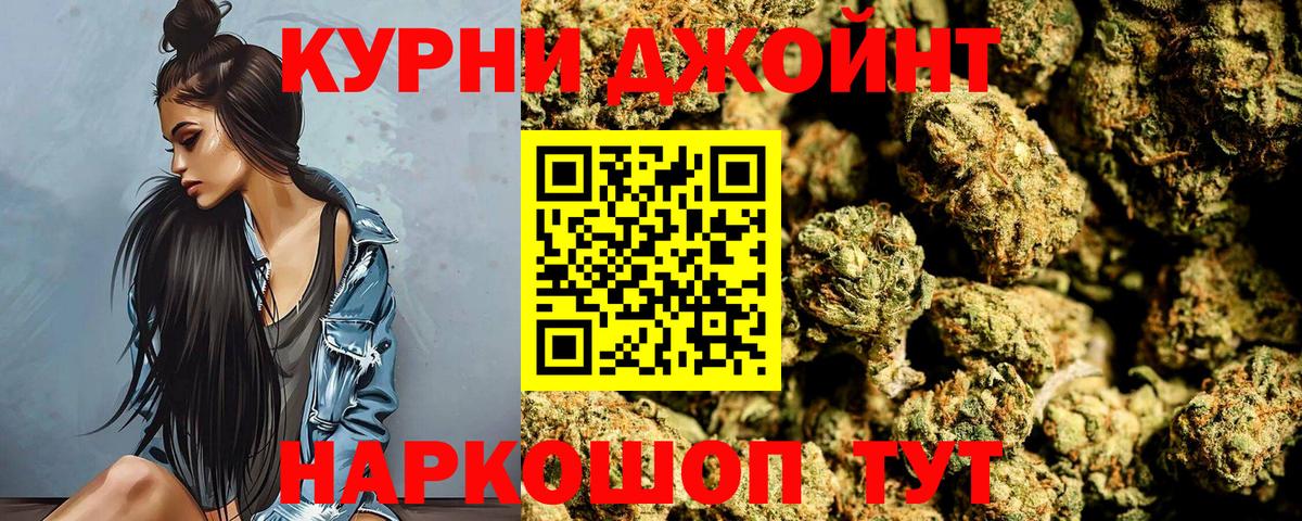 Кохма  Бошки Шишки гибрид  Вход с VPN  Канабис сатива 